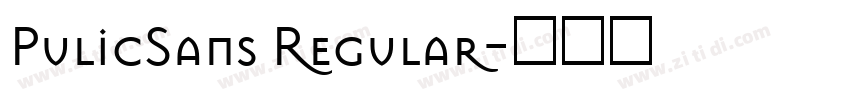 PulicSans Regular字体转换